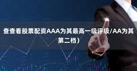 查查看股票配资AAA为其最高一级评级/AA为其第二档）