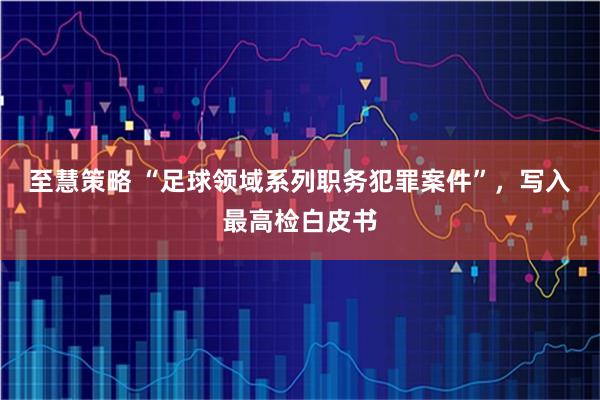 至慧策略 “足球领域系列职务犯罪案件”，写入最高检白皮书