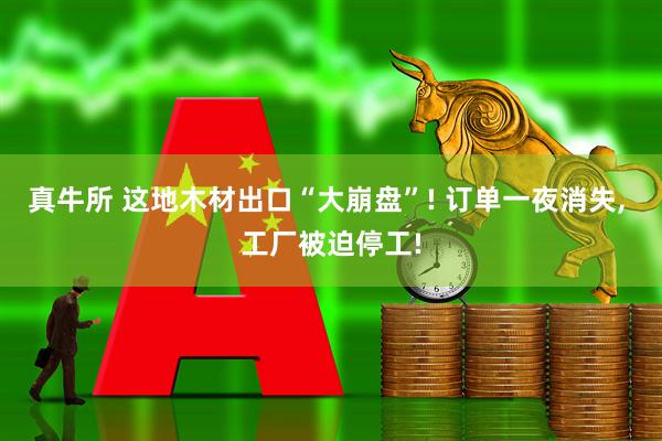 真牛所 这地木材出口“大崩盘”! 订单一夜消失, 工厂被迫停工!