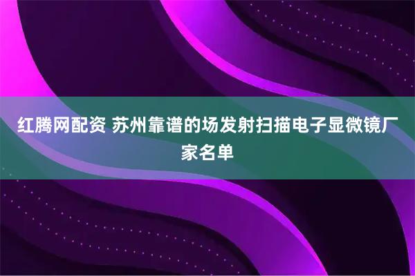 红腾网配资 苏州靠谱的场发射扫描电子显微镜厂家名单