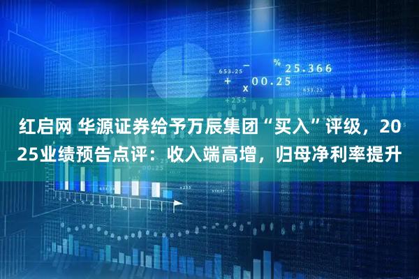 红启网 华源证券给予万辰集团“买入”评级，2025业绩预告点评：收入端高增，归母净利率提升