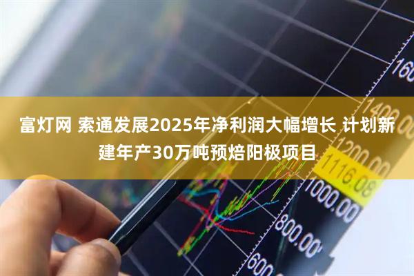 富灯网 索通发展2025年净利润大幅增长 计划新建年产30万吨预焙阳极项目