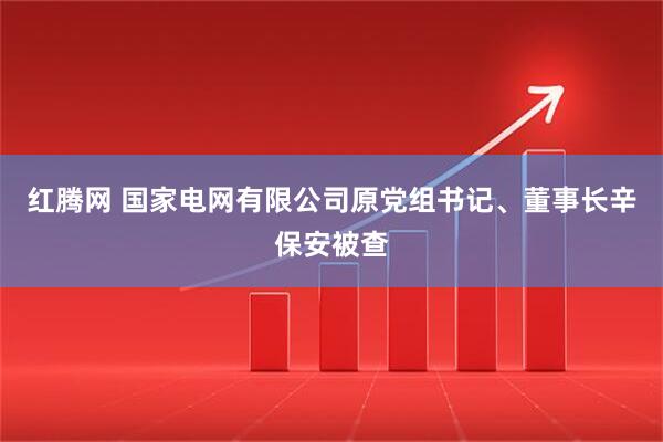 红腾网 国家电网有限公司原党组书记、董事长辛保安被查
